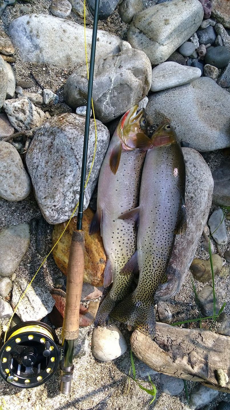 Clearwater Outfitters Gallery Image