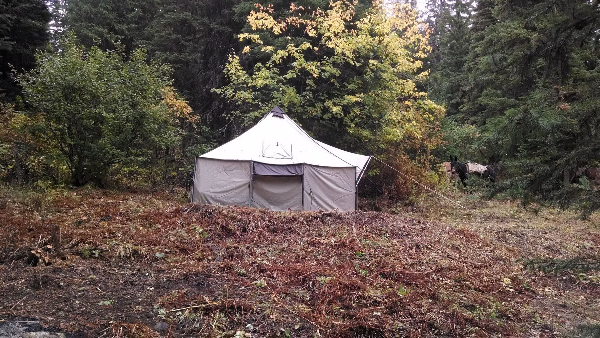 Clearwater Outfitters Gallery Image