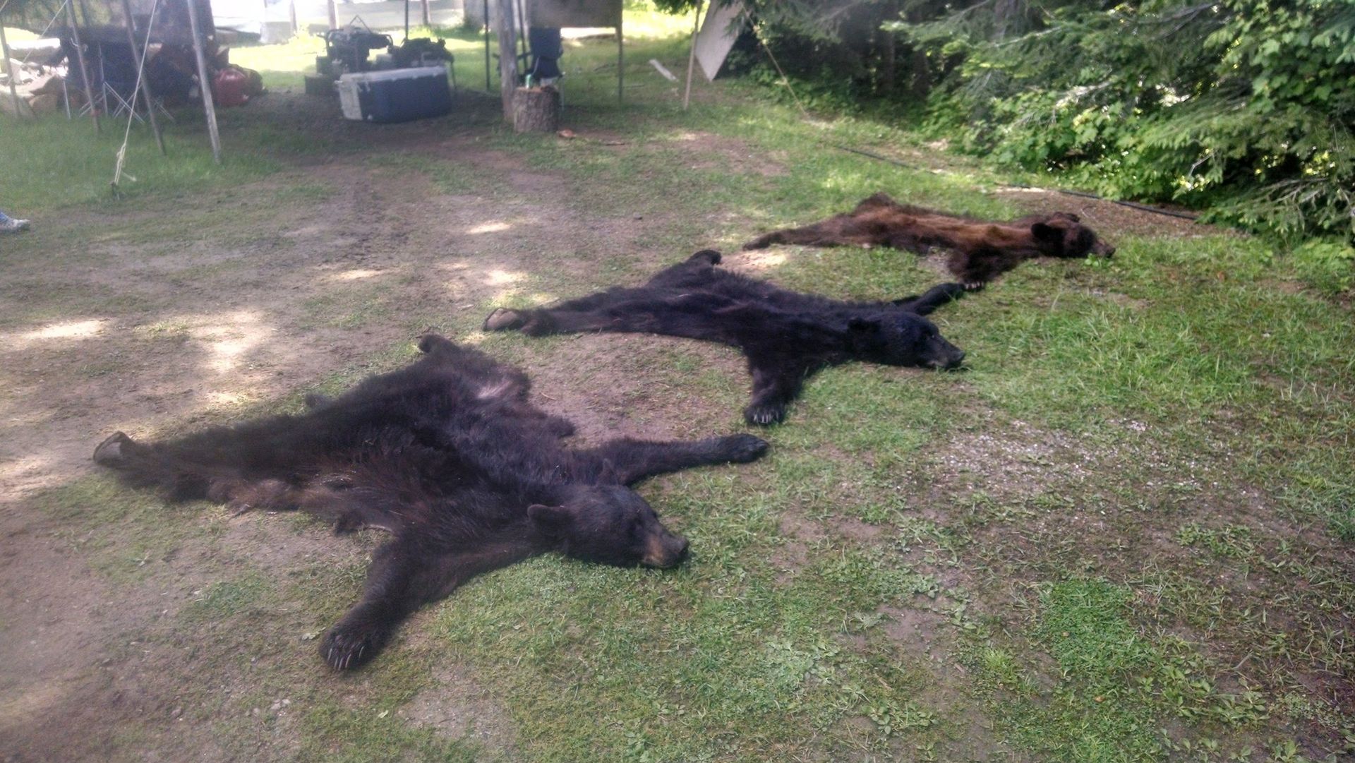 Clearwater Outfitters Gallery Image