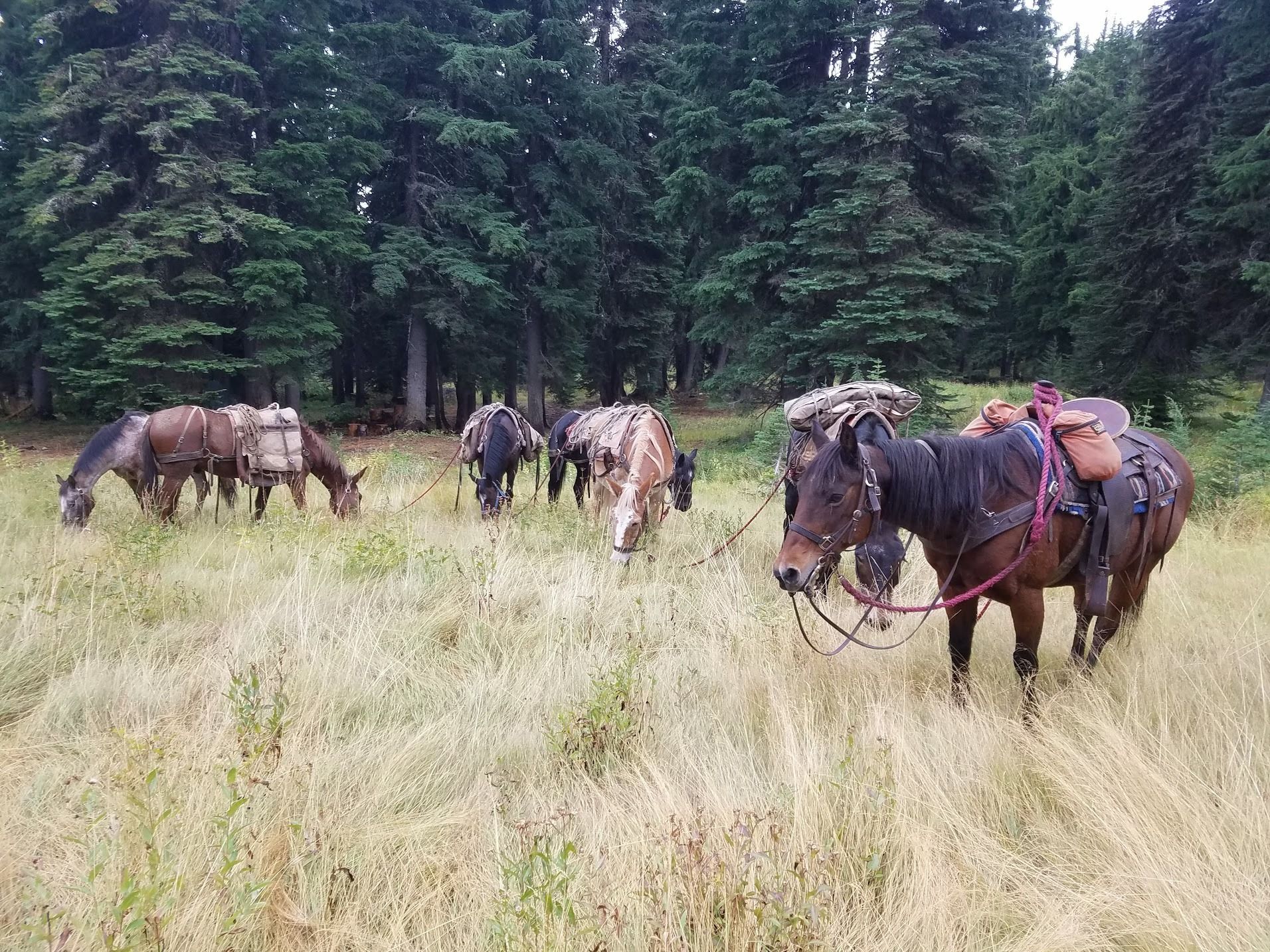 Clearwater Outfitters Gallery Image