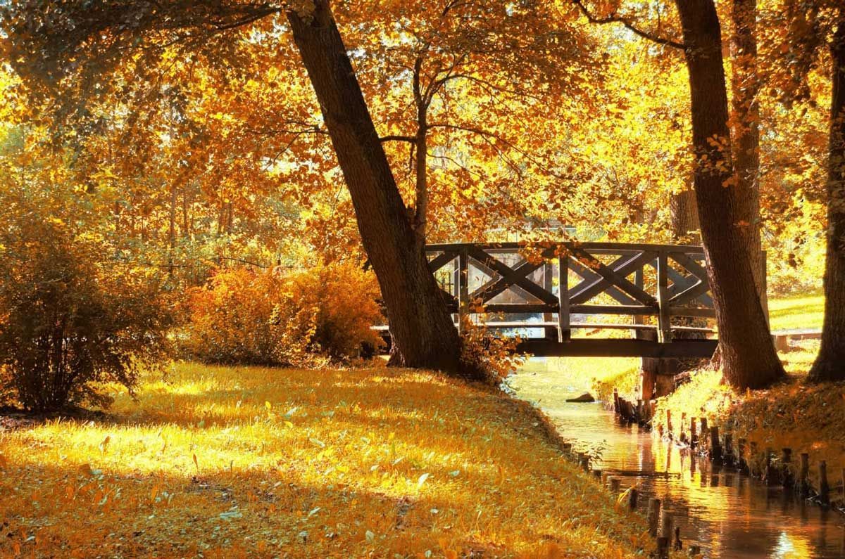 Peaceful cemetery landscape from funeral home services
