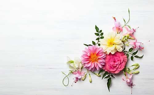 pink and white flowers on a white background, symbolizing remembrance for direct cremation service planning