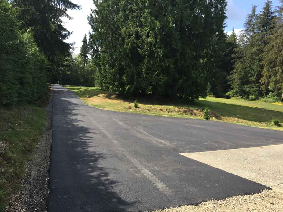 Large Trees Beside Road – Acme Paving & Seal Coating, Inc. – Kent, WA