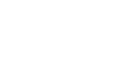 A logo for palisade apartments in madison wisconsin