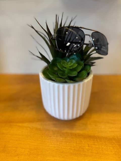 A plant in a white pot with sunglasses on top of it