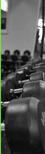 A black and white photo of a row of dumbbells in a gym.