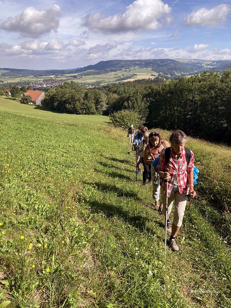 Simmelsberg 2020
