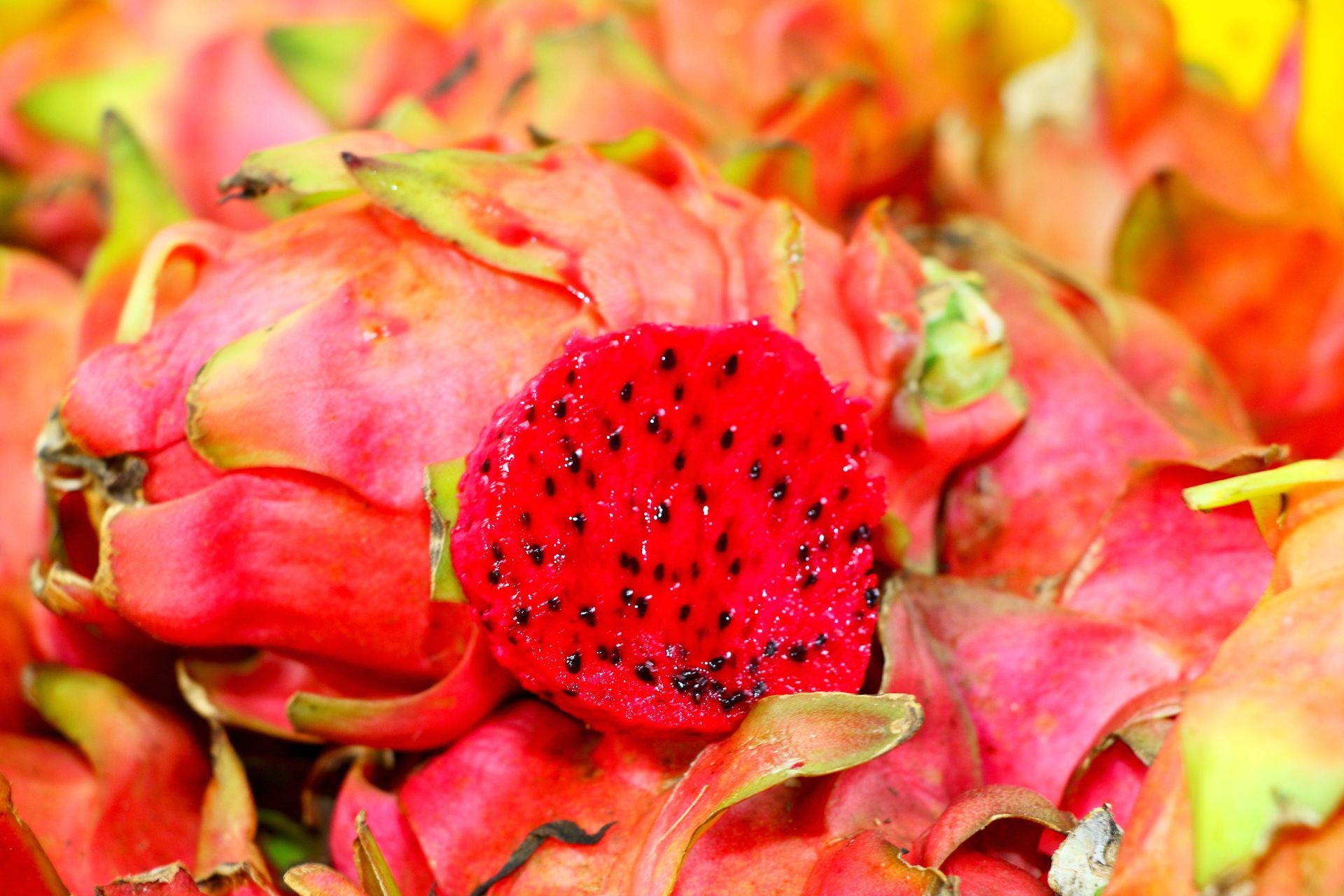 A Pile of Dragon Fruits With a Red One in the Middle — Mareeba Golden Dried Mangoes in Mareeba, QLD
