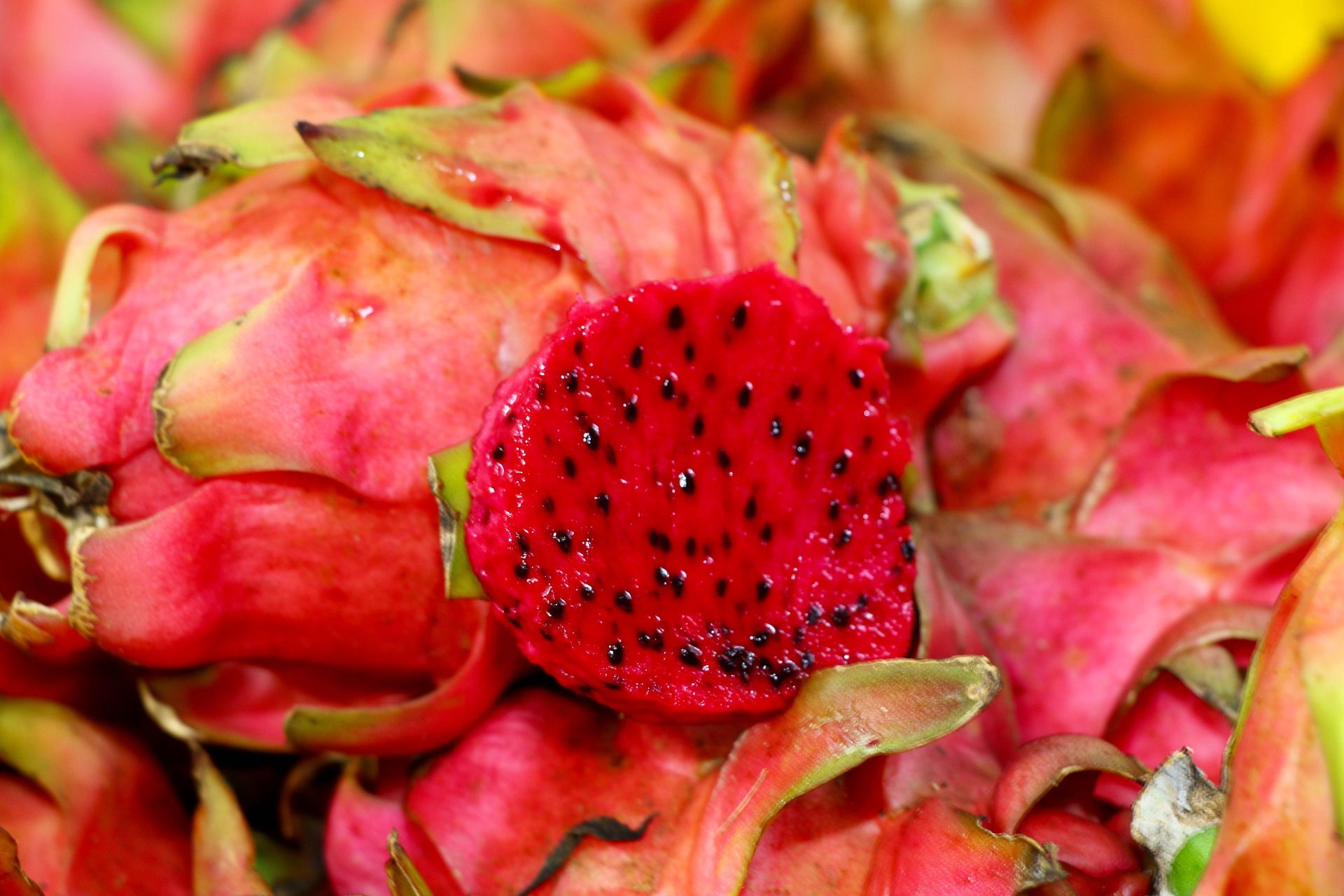A Plate of Dried Dragon Fruit Next to a Bag of Dried Dragon Fruit — Mareeba Golden Dried Mangoes in Mareeba, QLD