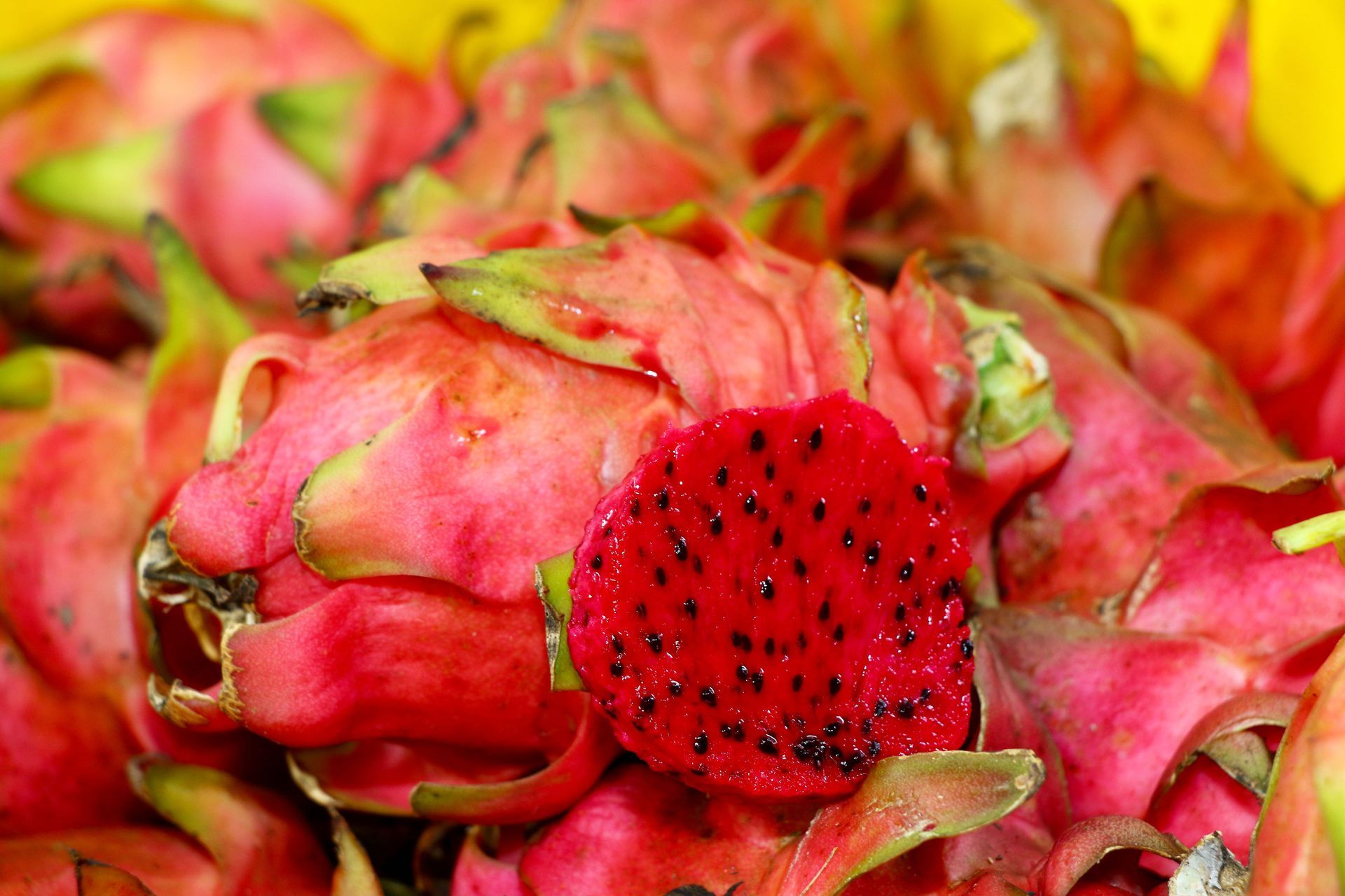 A Bunch of Red Cupcakes Are Sitting on a Shelf in a Refrigerator — Mareeba Golden Dried Mangoes in Mareeba, QLD