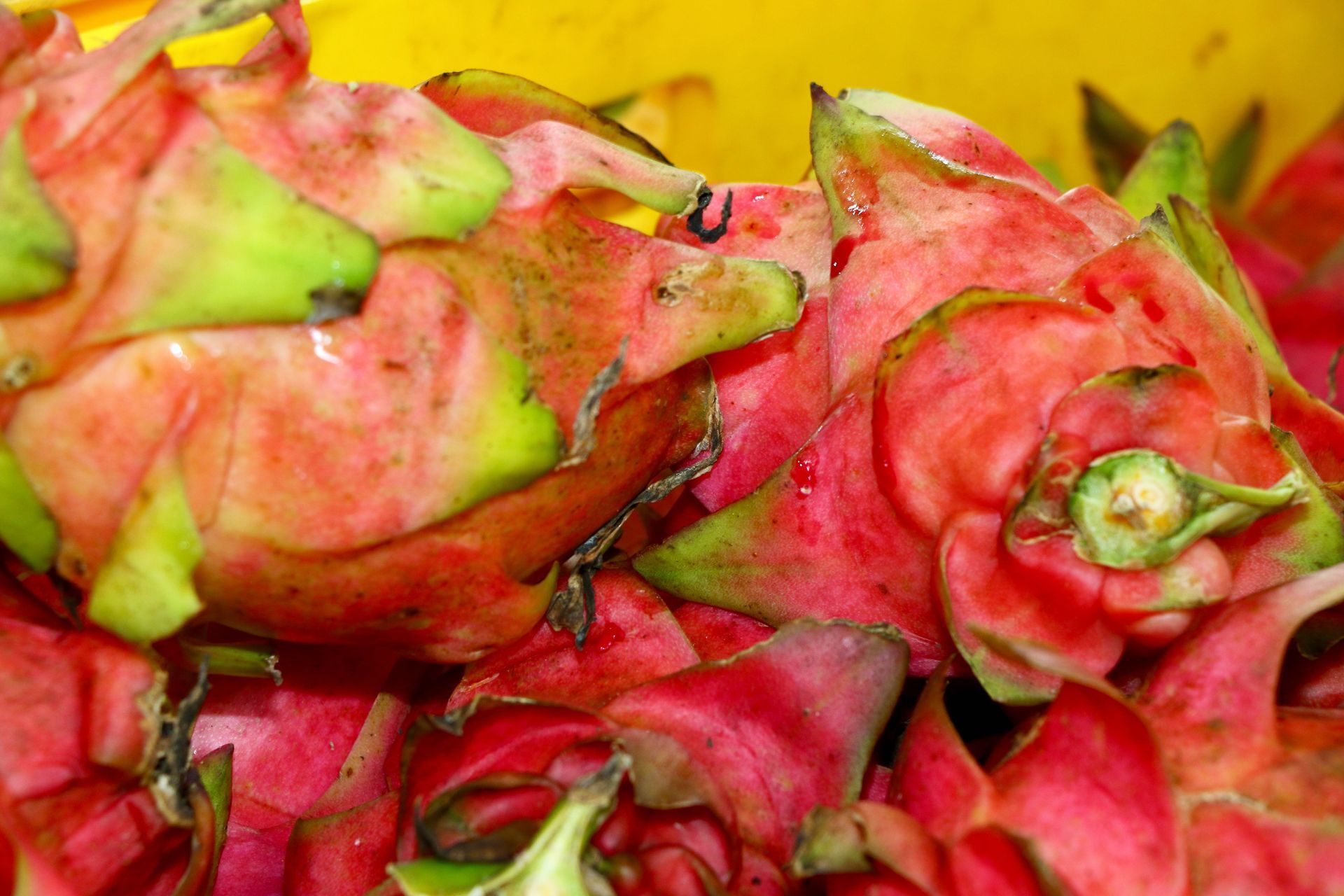 A Bunch of Dragon Fruits Are Sitting on Top of Each Other on a Yellow Surface — Mareeba Golden Dried Mangoes in Mareeba, QLD