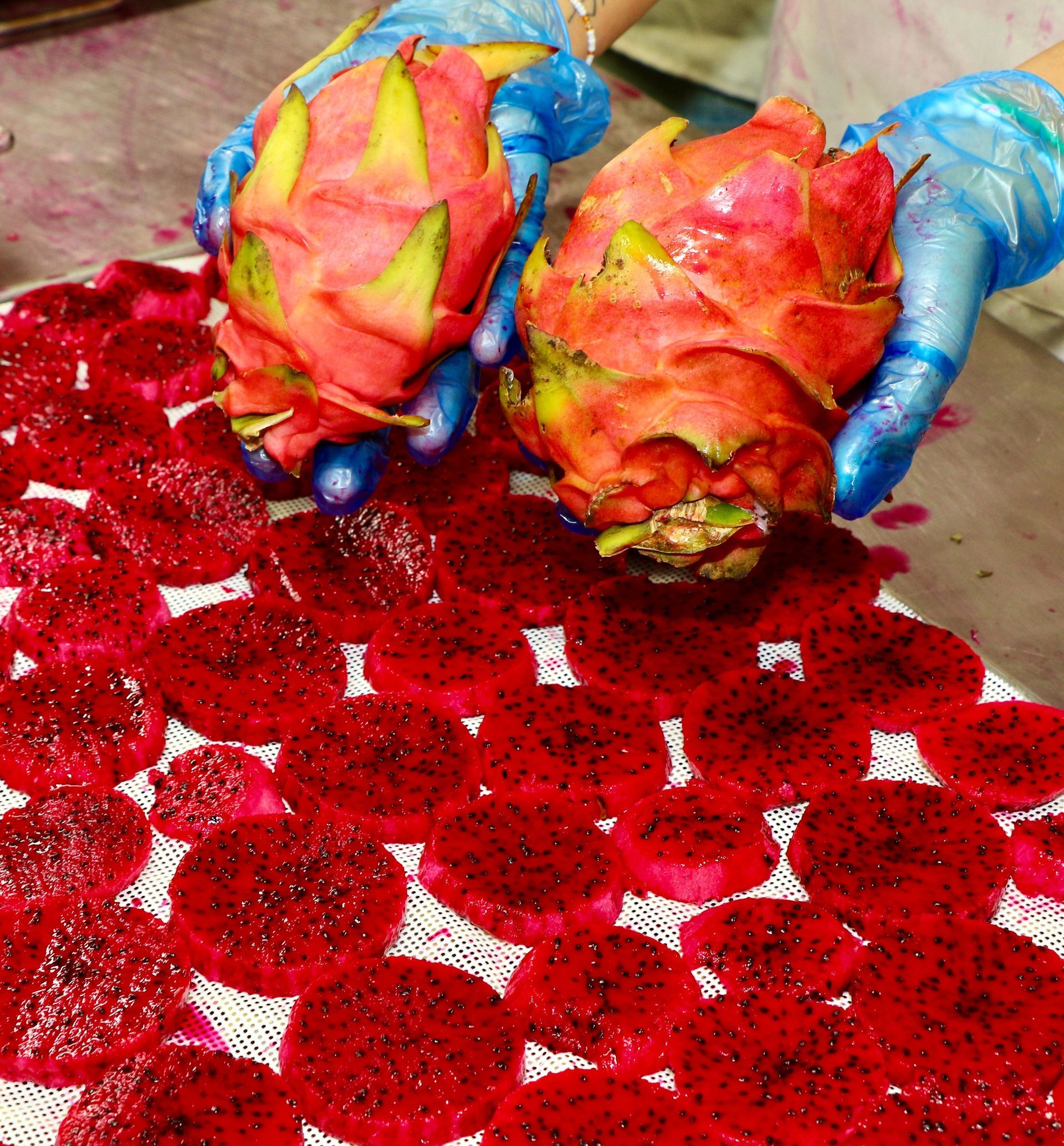 A Person is Holding Two Dragon Fruits in Their Hands — Mareeba Golden Dried Mangoes in Mareeba, QLD