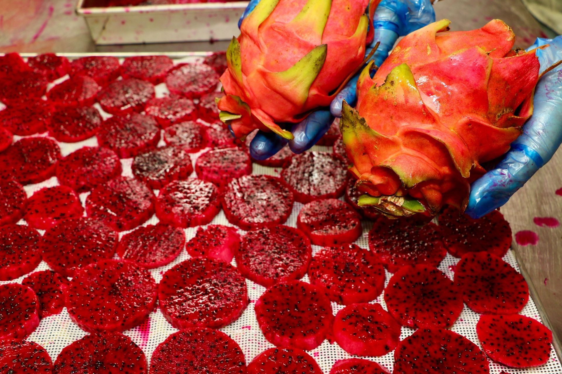 A Person is Holding a Dragon Fruit on Top of a Tray of Dragon Fruit Slices — Mareeba Golden Dried Mangoes in Mareeba, QLD