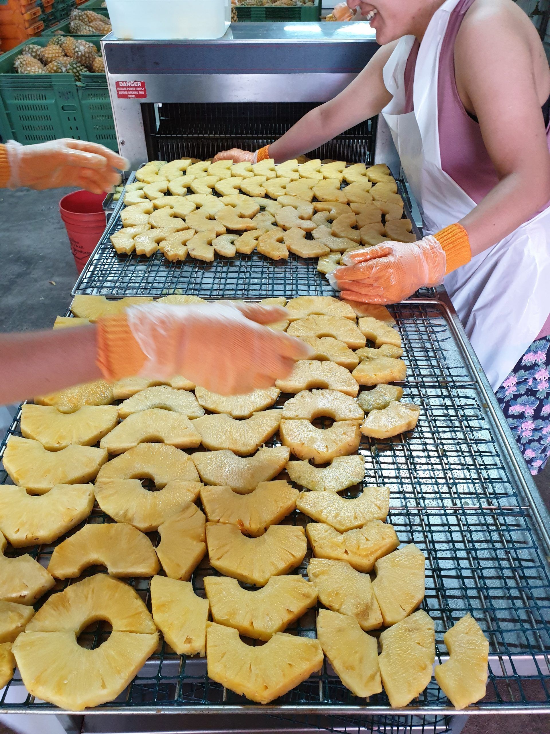 Two People Are Working on a Conveyor Belt Filled With Pineapple Slices — Mareeba Golden Dried Mangoes in Mareeba, QLD