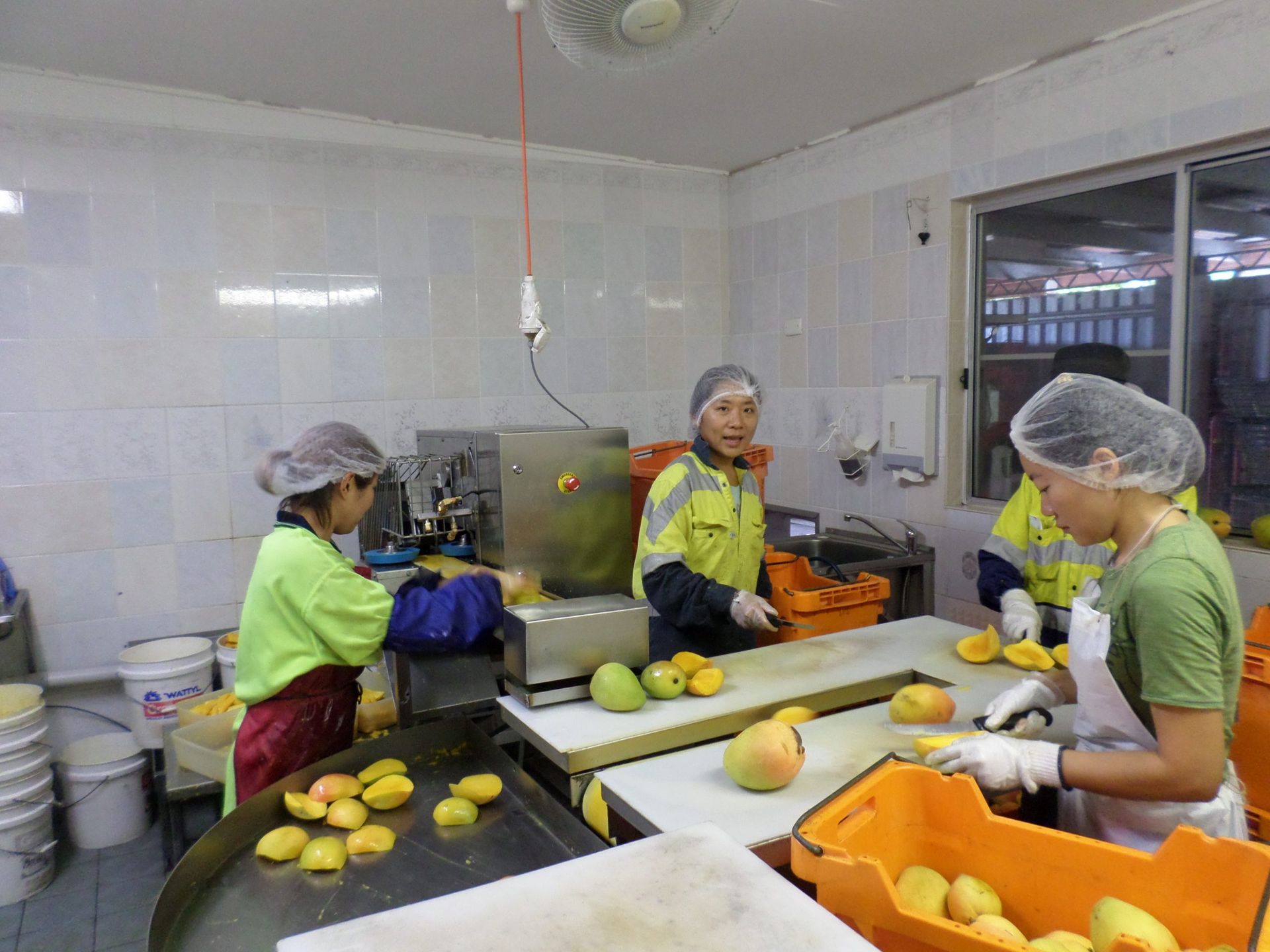 A Pile of Dried Fruit in a Plastic Bag in a Box — Mareeba Golden Dried Mangoes in Mareeba, QLD
