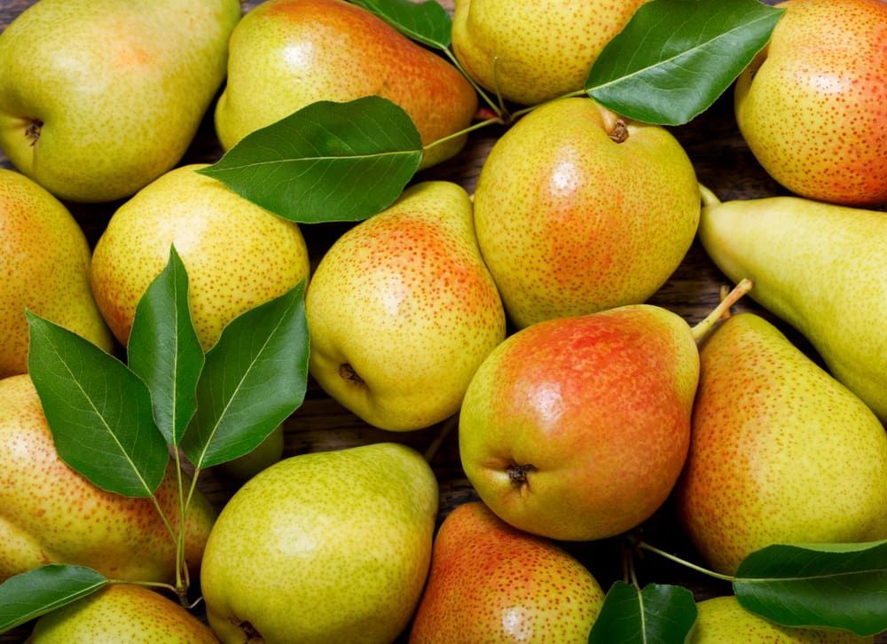 A Bunch of Pears With Green Leaves on Them — Mareeba Golden Dried Mangoes in Townsville, QLD