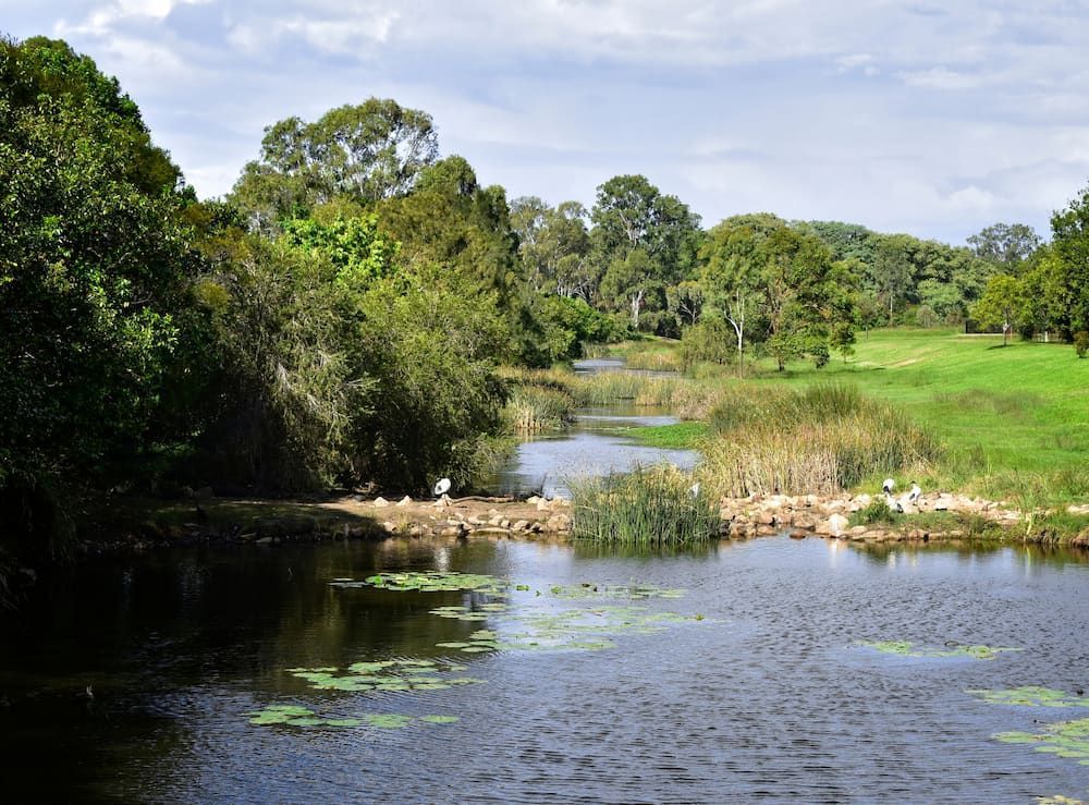 A River Surrounded by Trees and Grass in a Park — Mareeba Golden Dried Mangoes in Brisbane, QLD