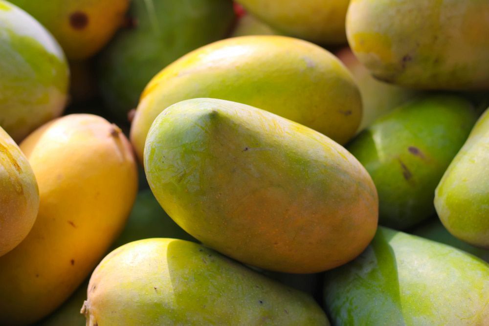 A Bunch of Mangoes Are Sitting on Top of Each Other on a Table — Mareeba Golden Dried Mangoes in Townsville, QLD