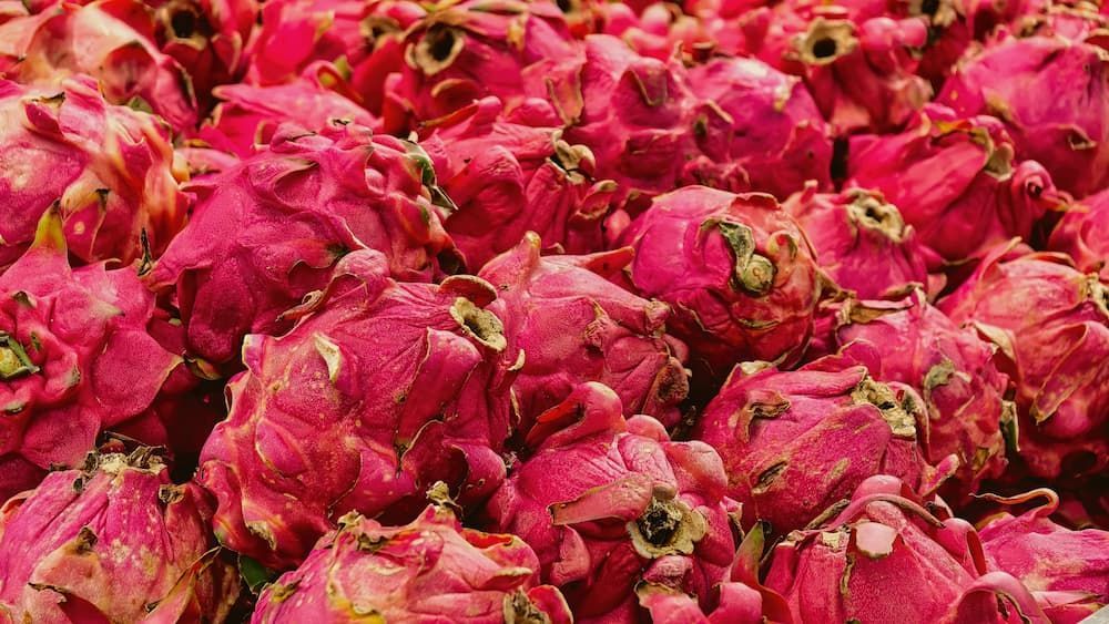 A Bunch of Pink Dragon Fruits Are Sitting on Top of Each Other on a Table — Mareeba Golden Dried Mangoes in Townsville, QLD