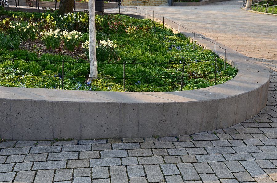 plants in the retaining walls