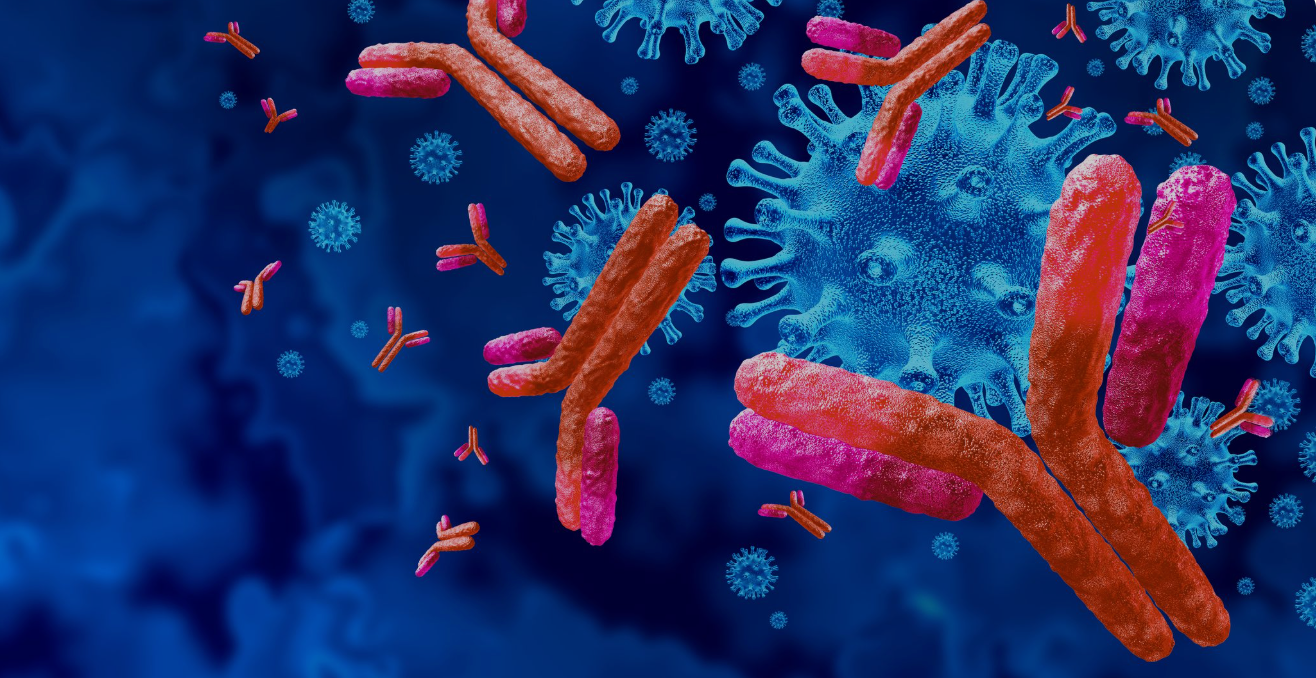  Imagem de diversas bactérias sendo recebidas por anticorpos com um fundo azul atrás.