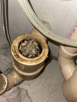 Dirty sink drain with debris buildup and connected pipes.