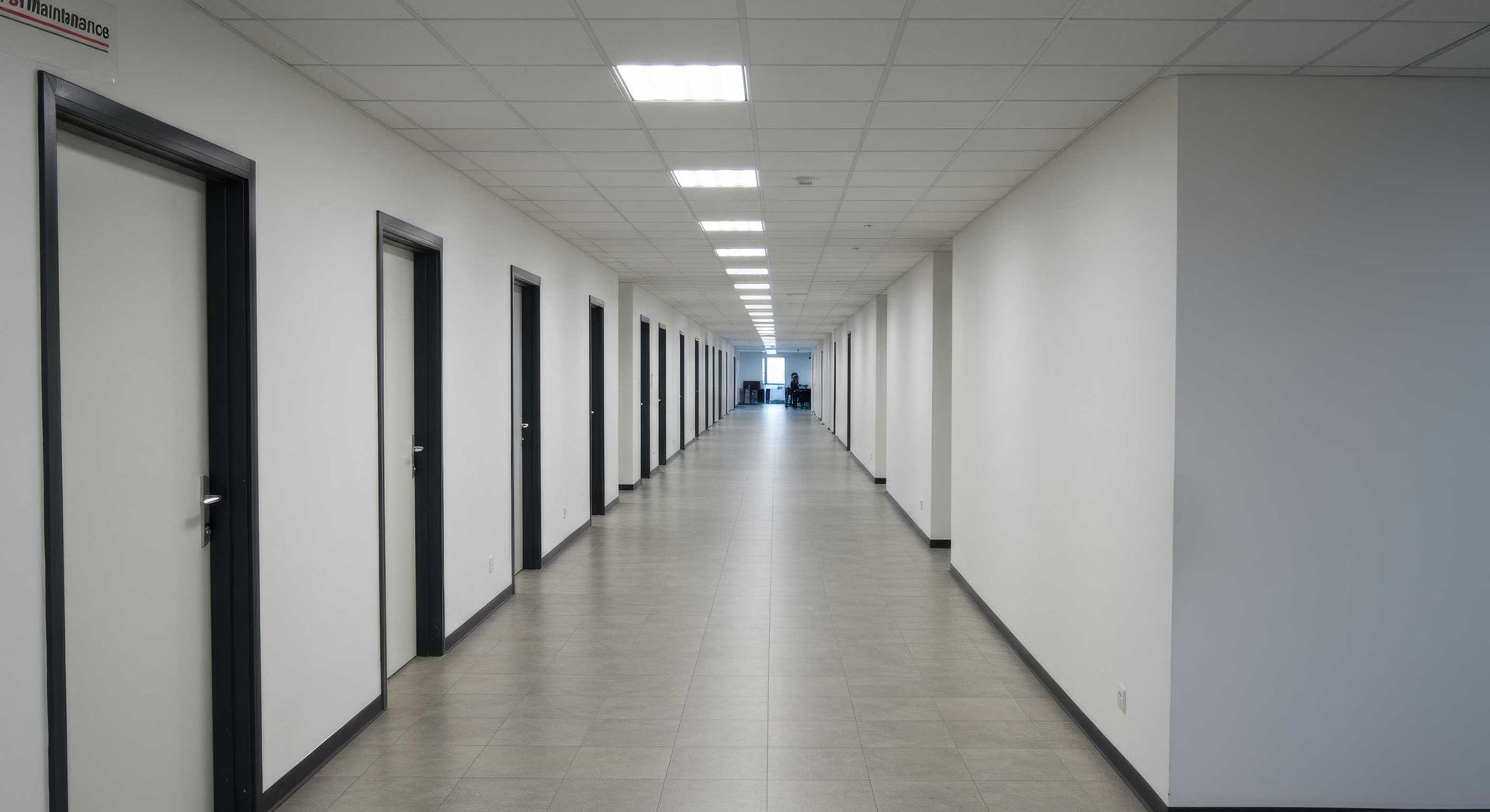 Perfectionist Finisher Gladstone Painter