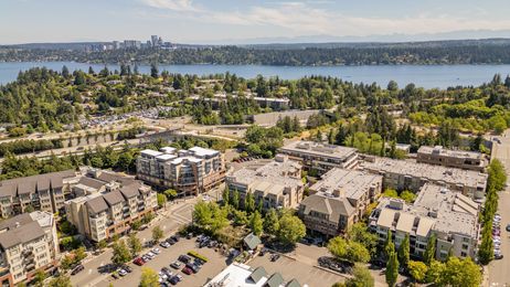 Aerial view of apartment buildings and trees beside a large body of water with a city skyline in the distance