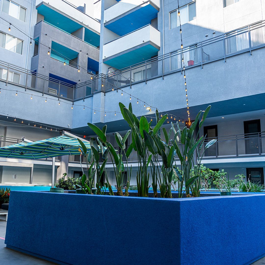 Blue and white apartment courtyard with large planter of green plants and string lights.