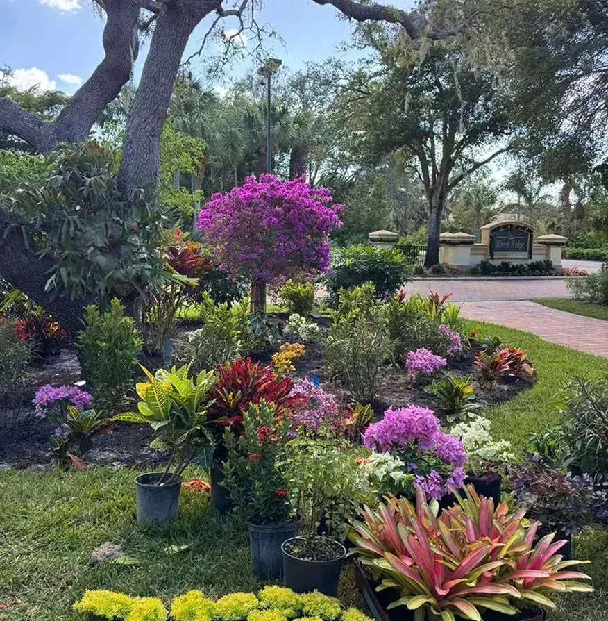 expert outdoor living services fort myers fl