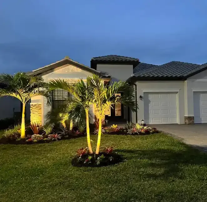 Professional tree uplighting services in Fort Myers, Florida highlighting trees and plants with elegant lighting