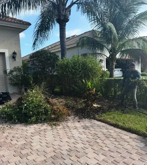 landscape cleanups new bed creation fort myers fl