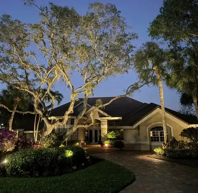 Professional landscape lighting installation