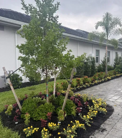native tree installation fort myers fl