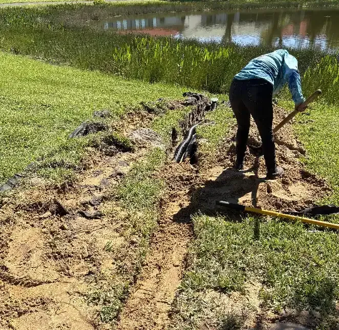 Residential drainage system installation and maintenance in Three Oaks, FL