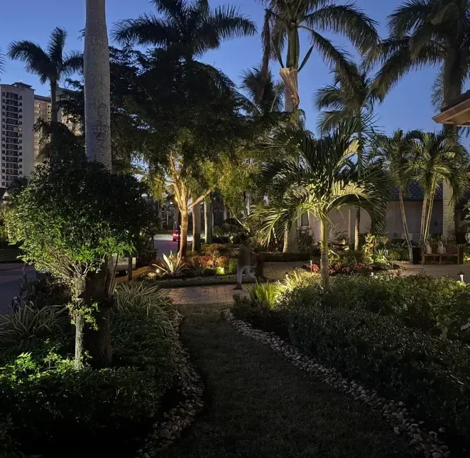 Tree and plant uplights installation in Fort Myers, FL illuminating landscape greenery beautifully at night.