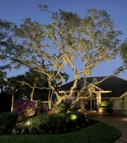 Professional tree and plant uplighting installation for landscaping in Fort Myers, FL