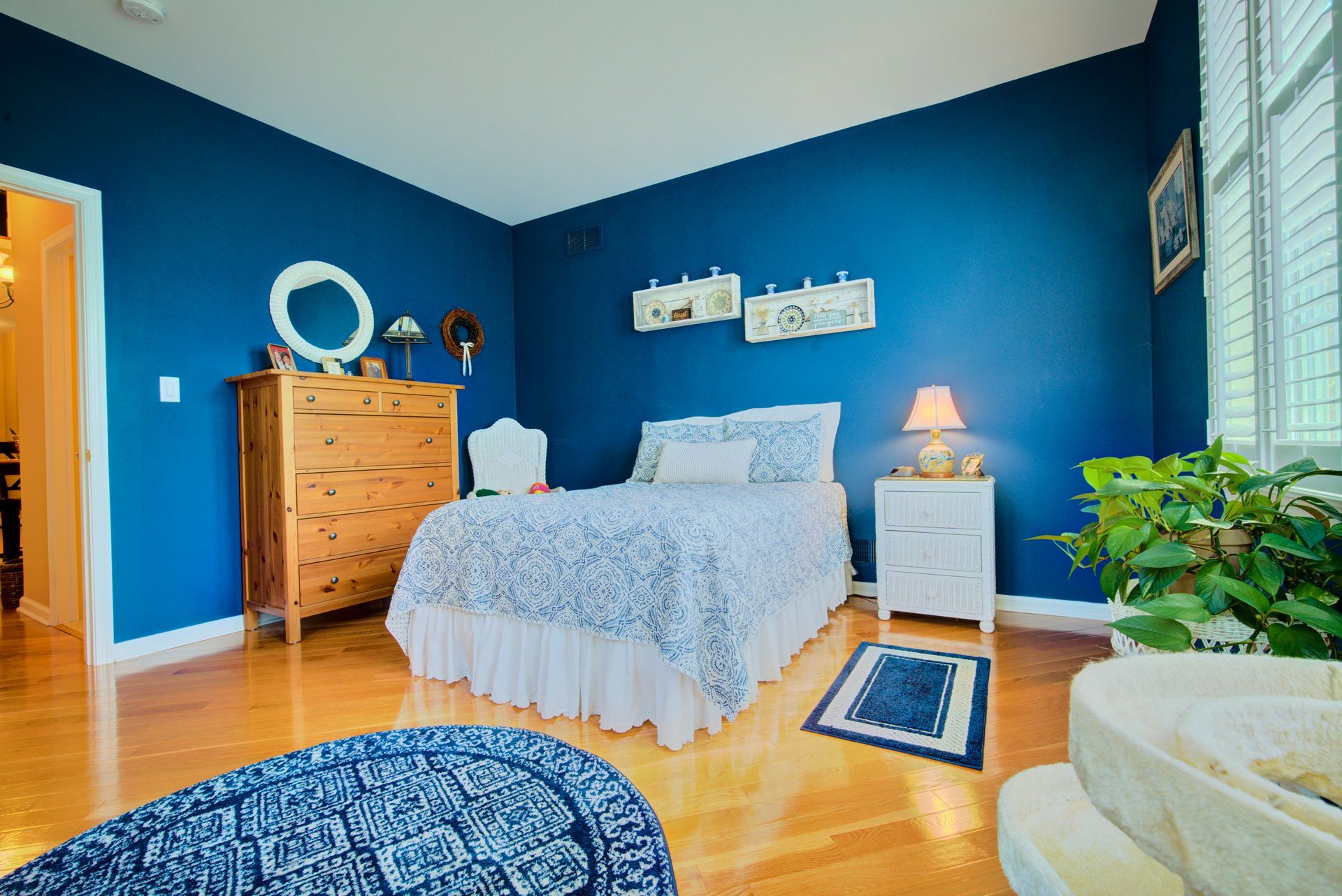 Bedroom with blue walls, wooden dresser, bed with blue and white bedding, rug, and floor, and a plant.