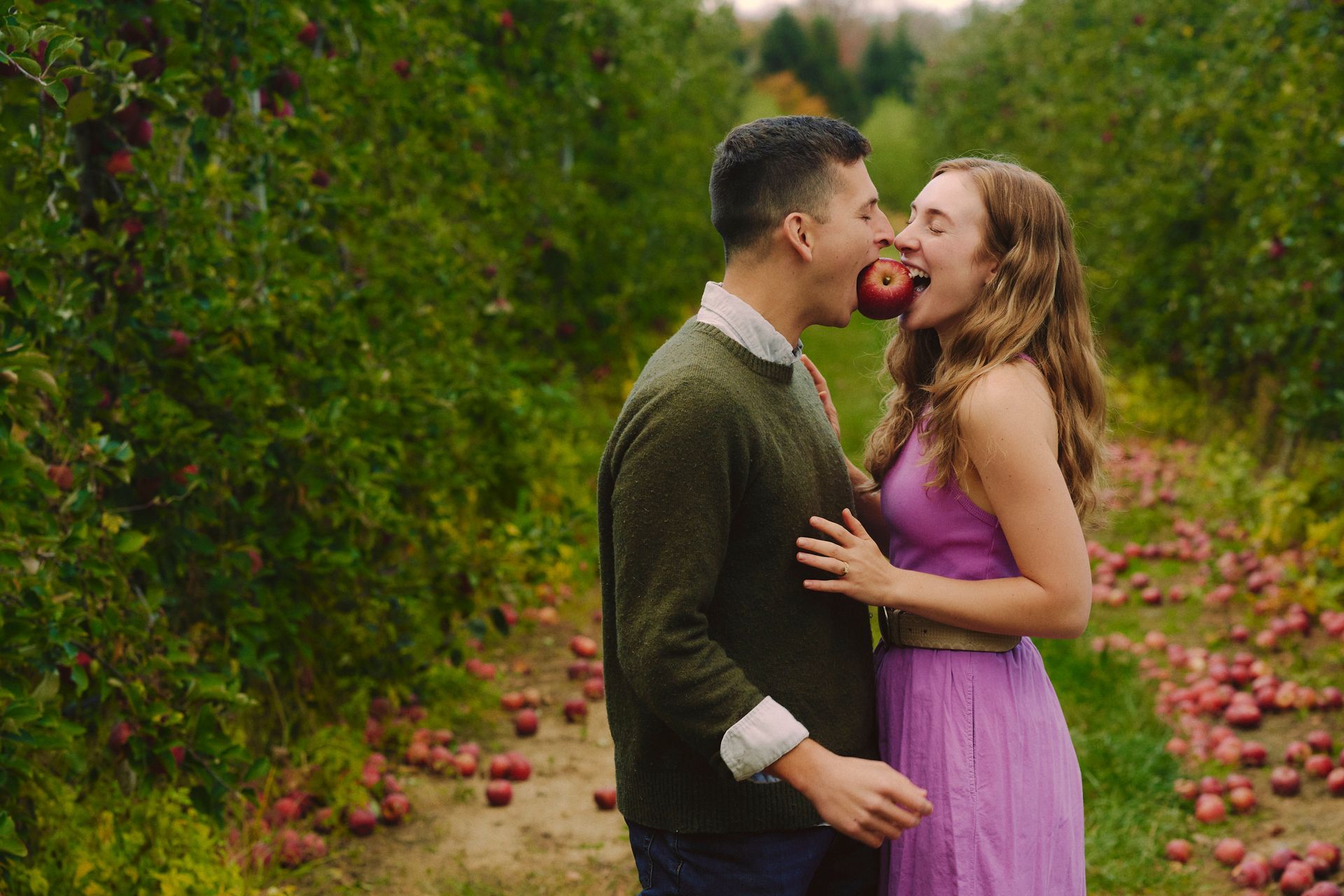 Couple in apple orchard, sharing a bite of an apple.