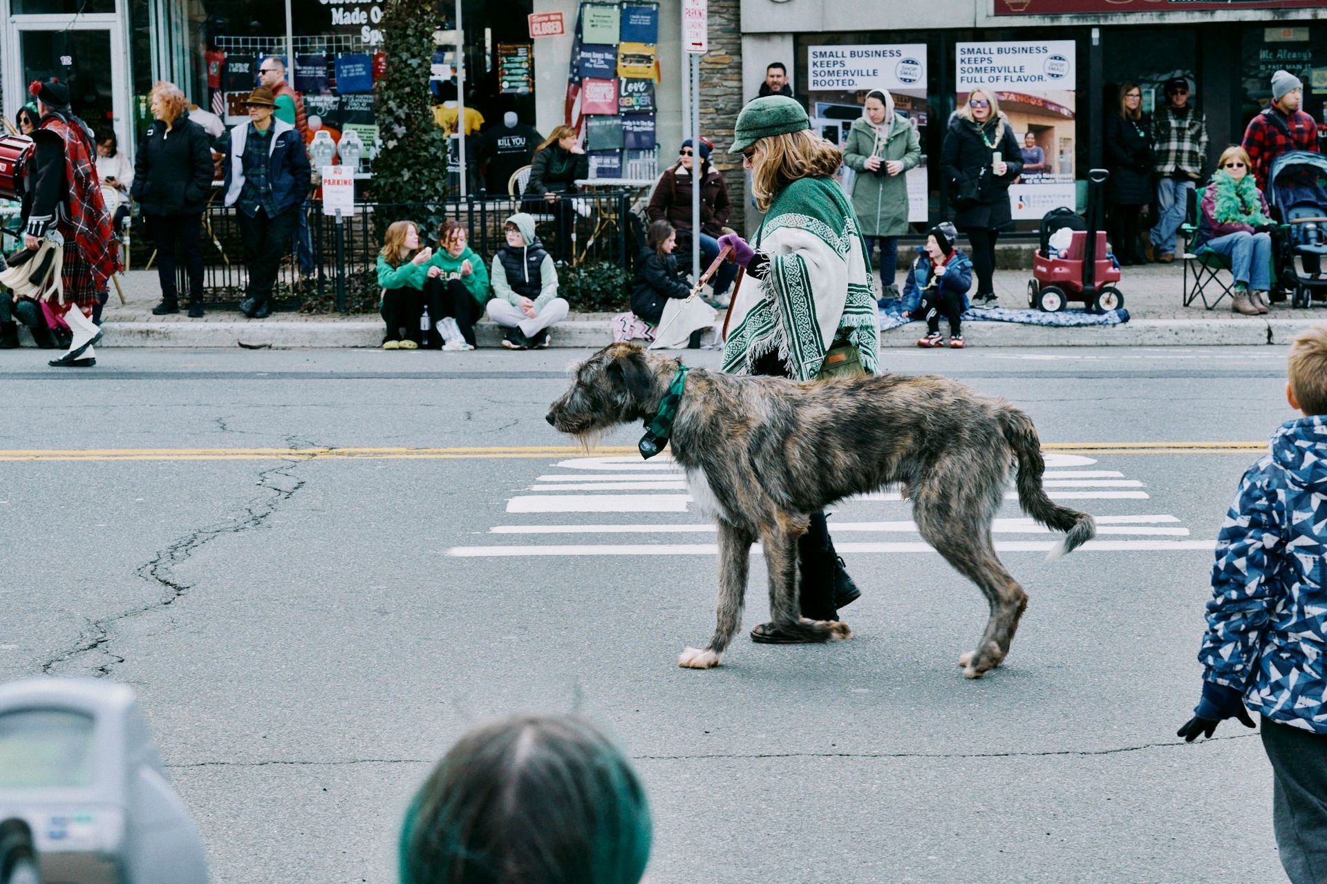 Large brindle Irish Wolfhound being walked across a crosswalk by a person at an outdoor event.