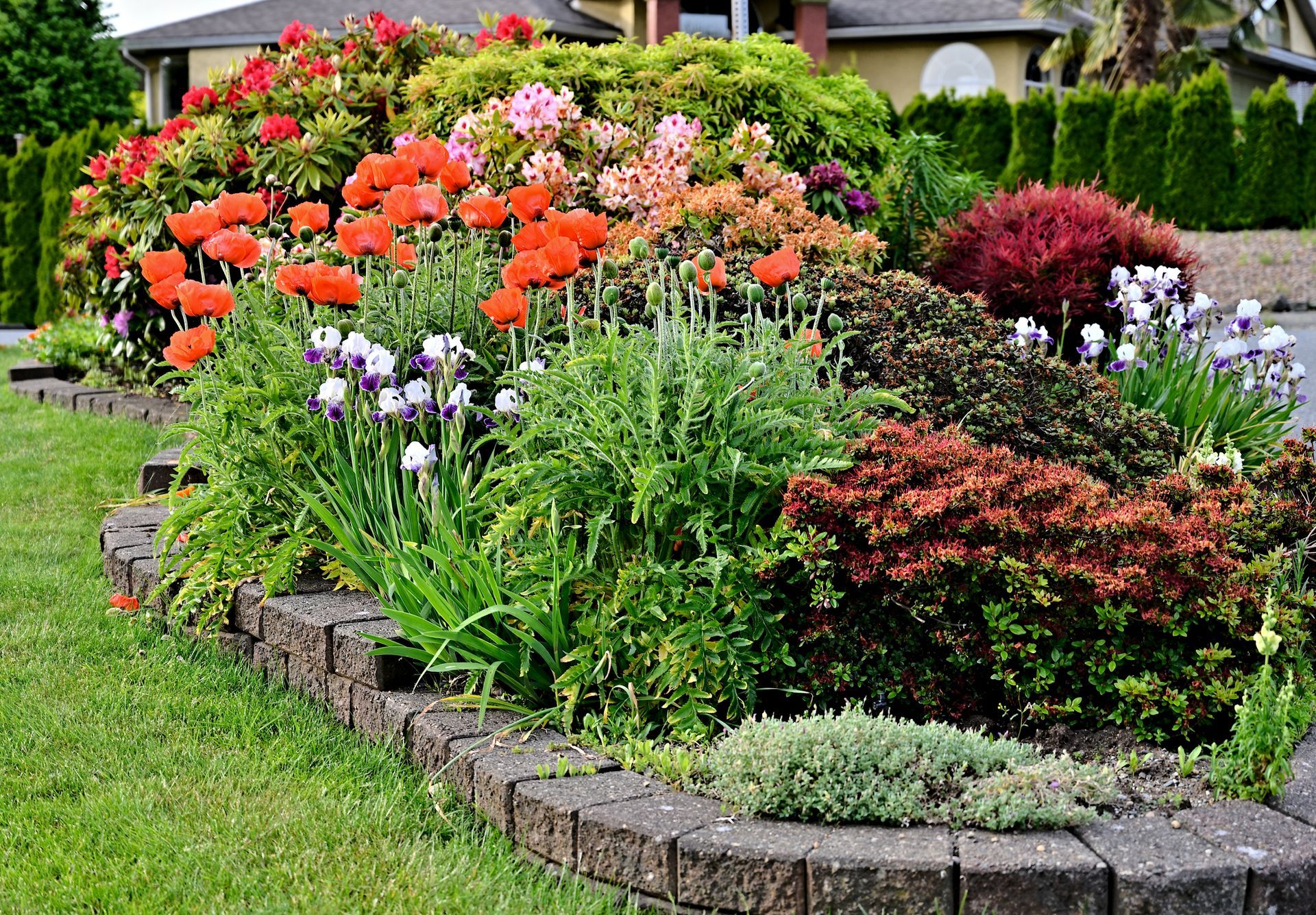 A garden filled with lots of different types of flowers and plants