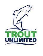 Jumping blue trout above green 