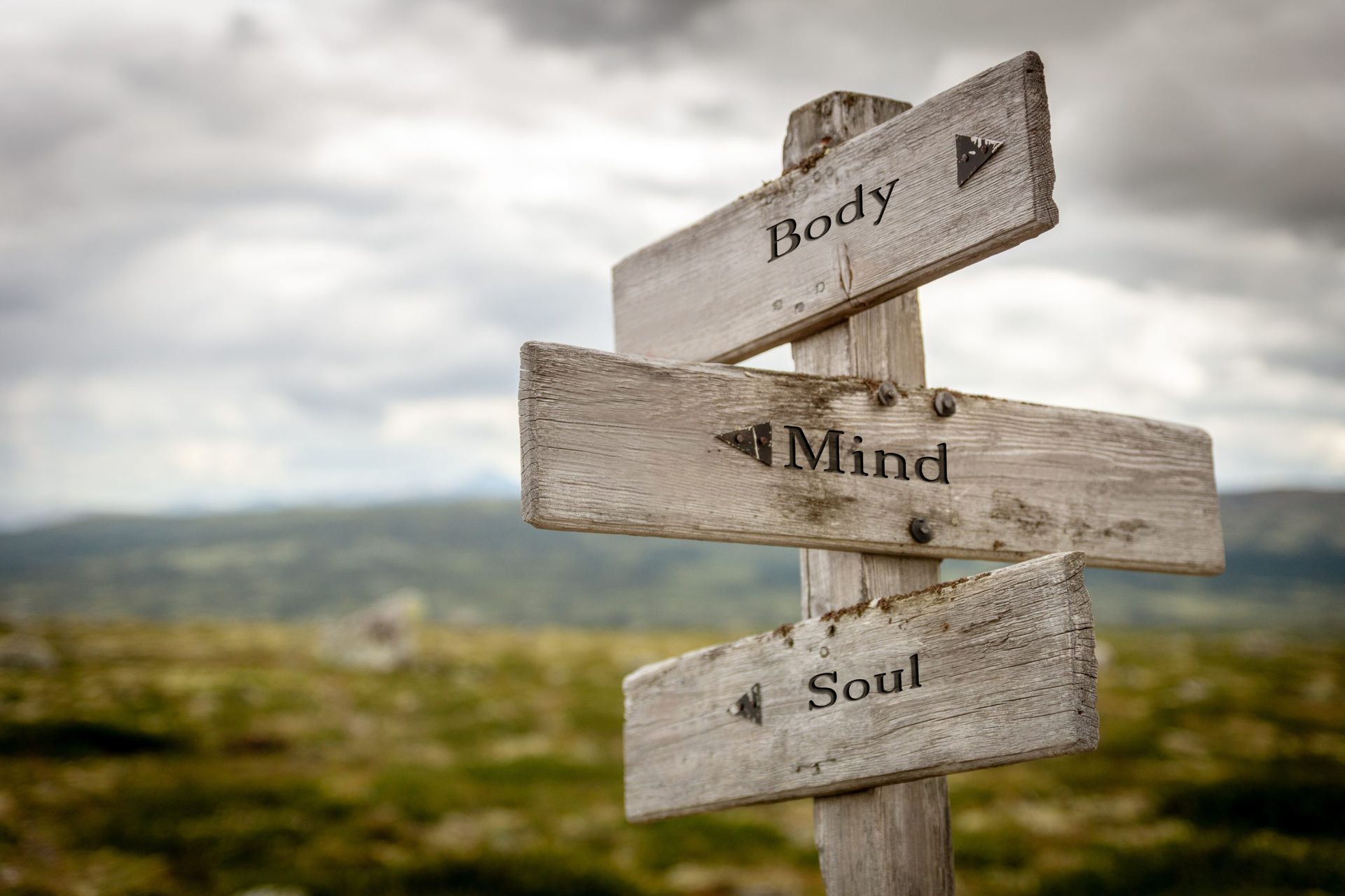 A wooden signpost with three signs pointing in different directions.