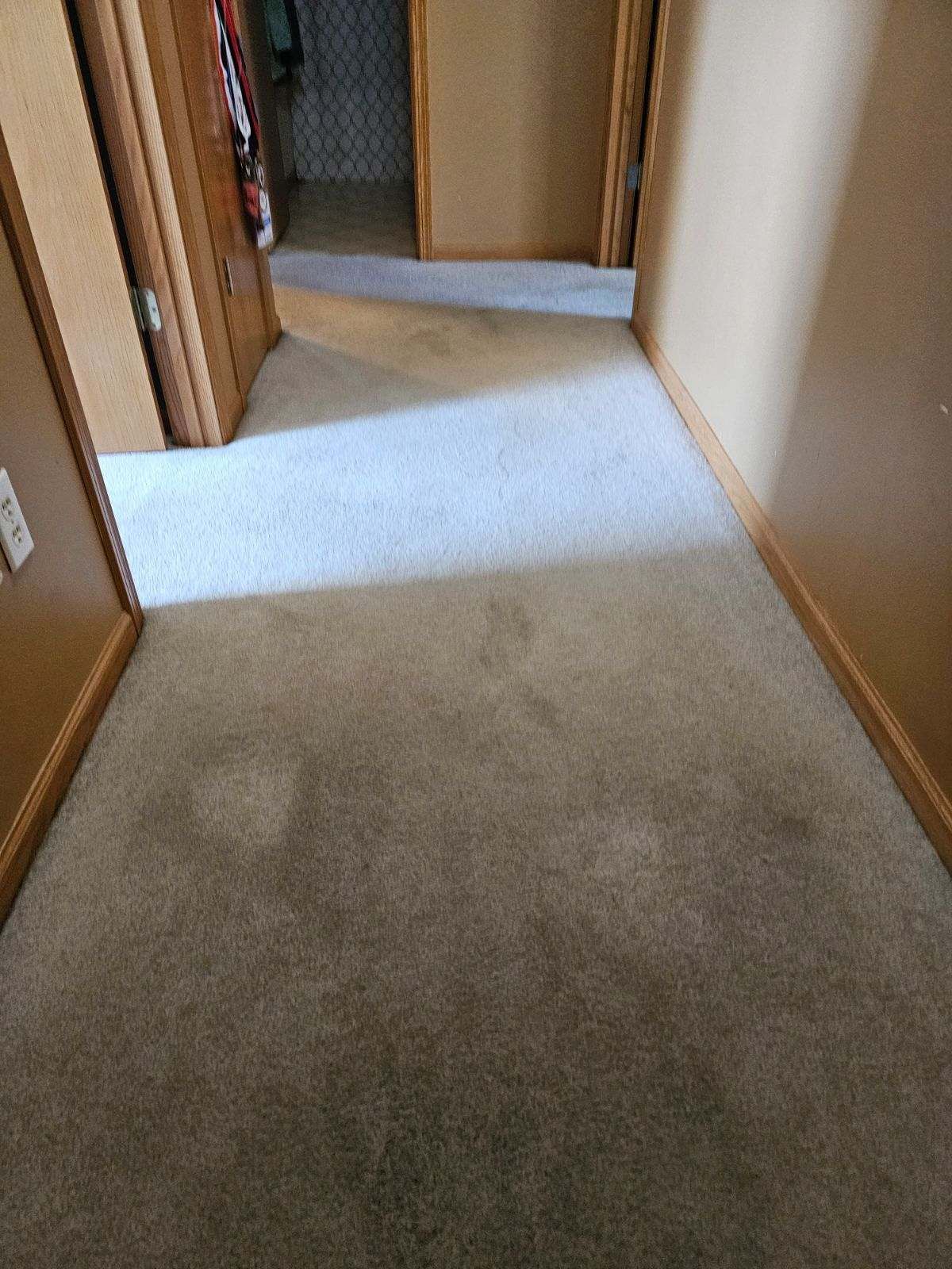 Top Rated Residential Carpet Cleaning Services Serving All Of The Twin