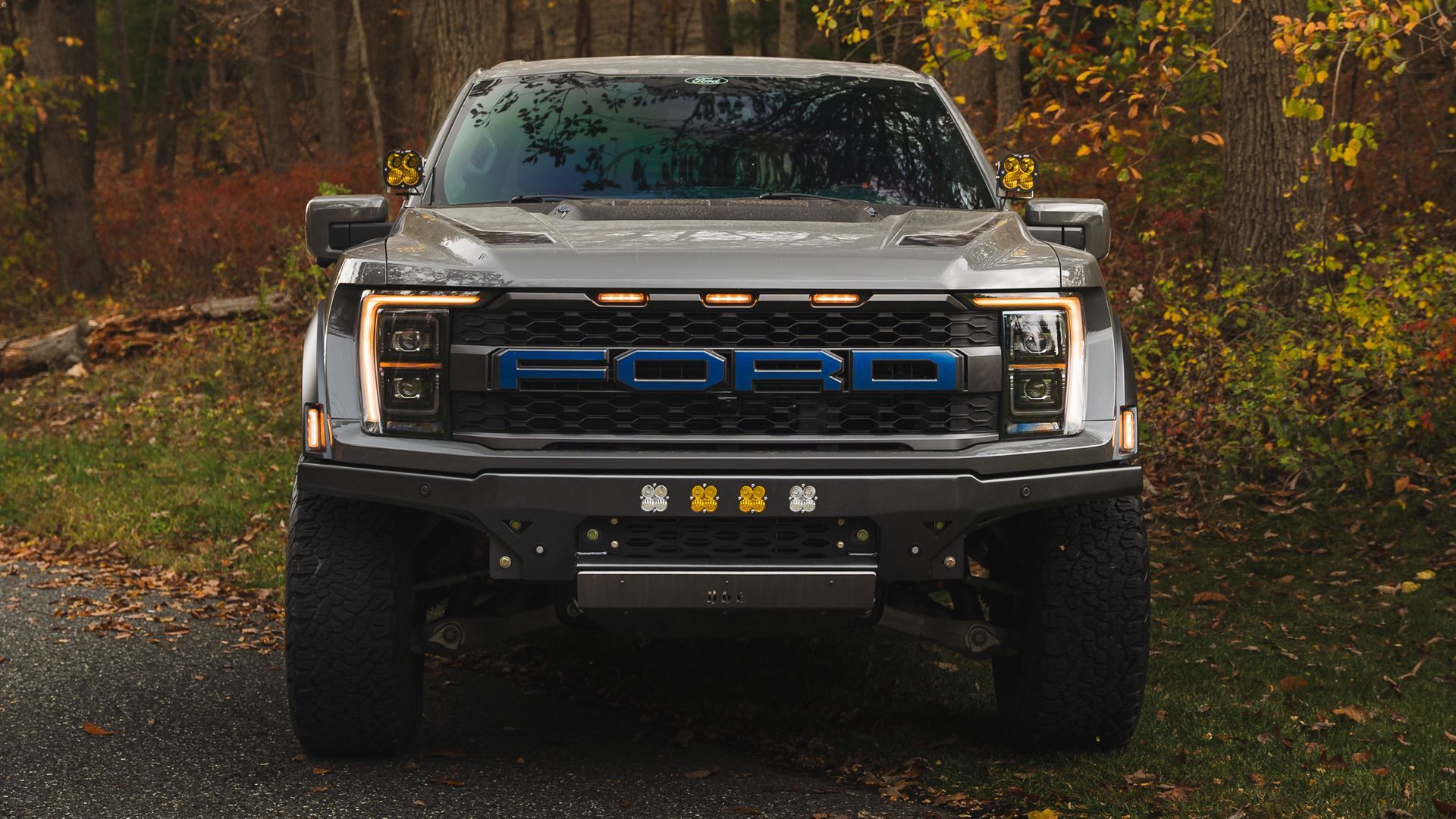 Ford Raptor truck, grey, with blue 