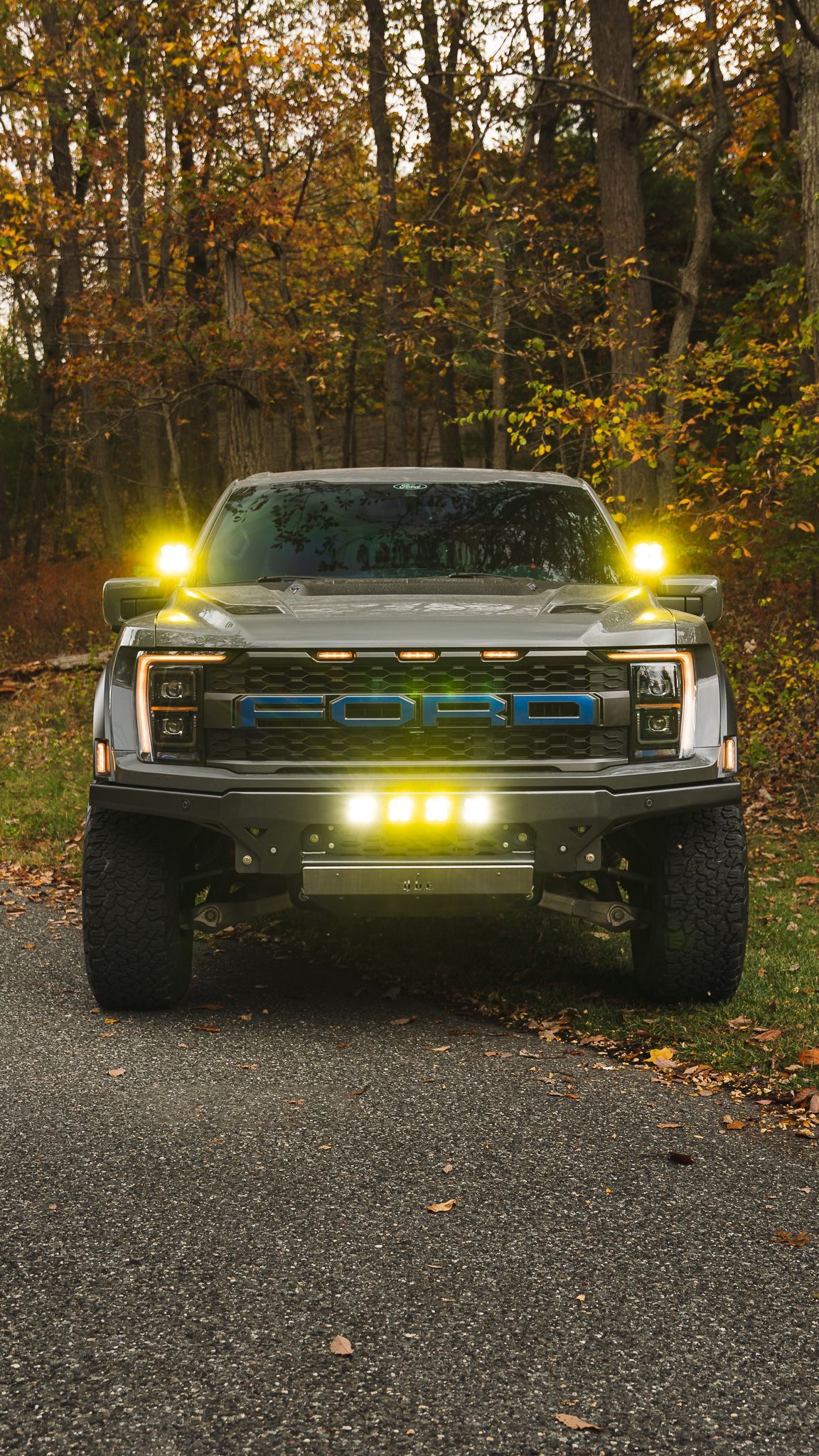 Gray Ford Raptor truck with yellow lights on a gravel driveway, autumn forest background.