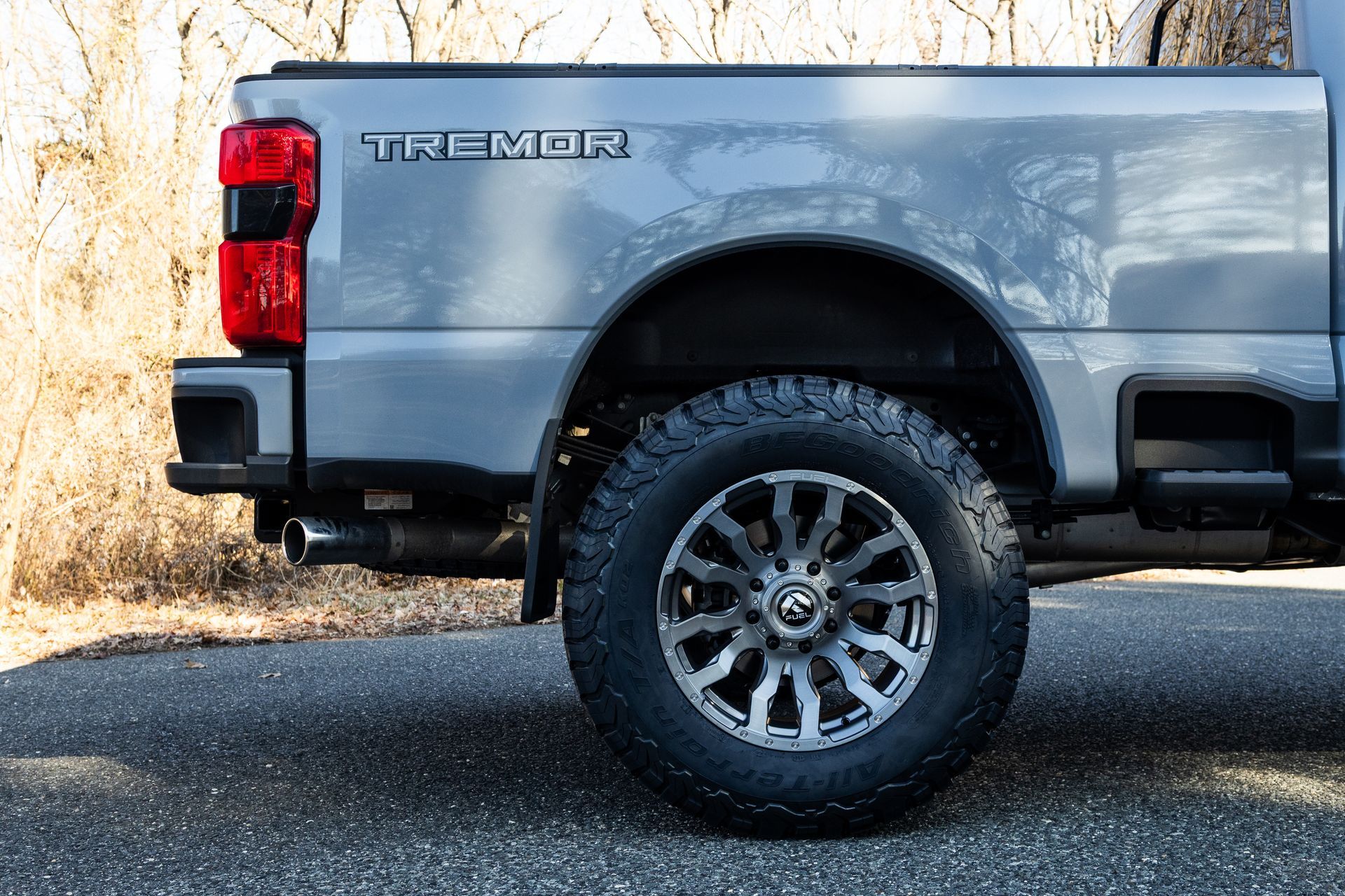 Rear view of a gray Tremor truck with black and gray tire on a road.
