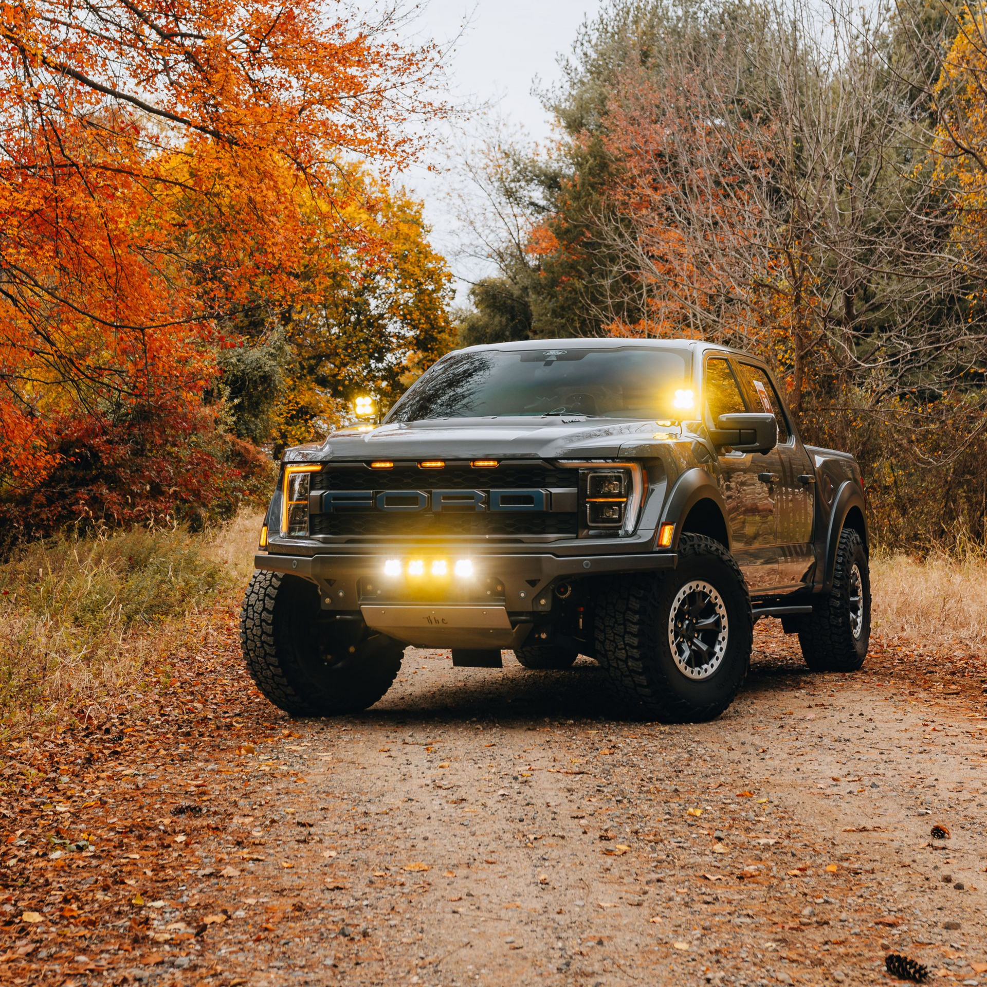 White lifted Ford F-150 truck with custom grille and wheels parked on a road, trees in the background.