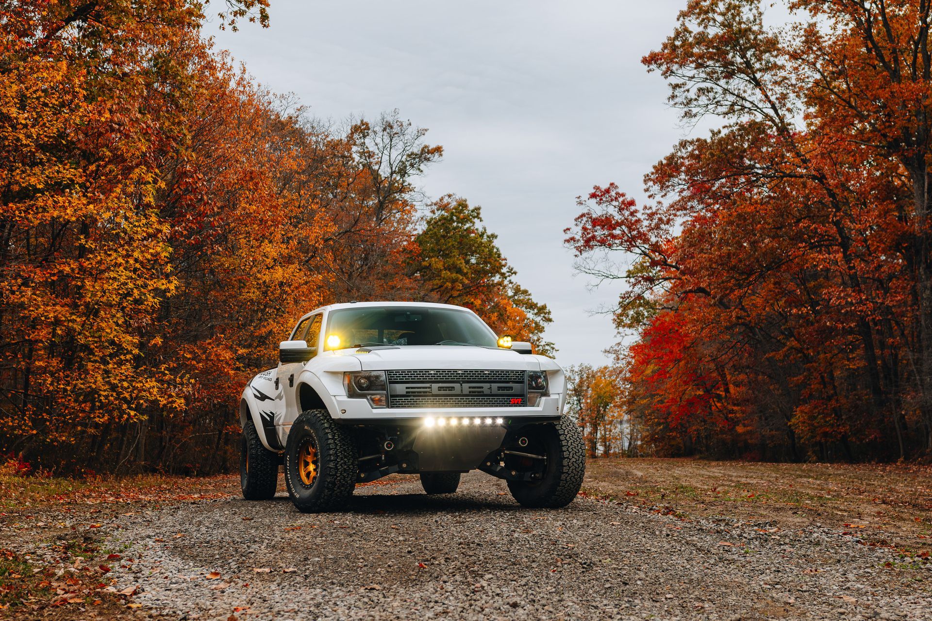 White Ford Raptor off-road truck on gravel road, fall foliage background.