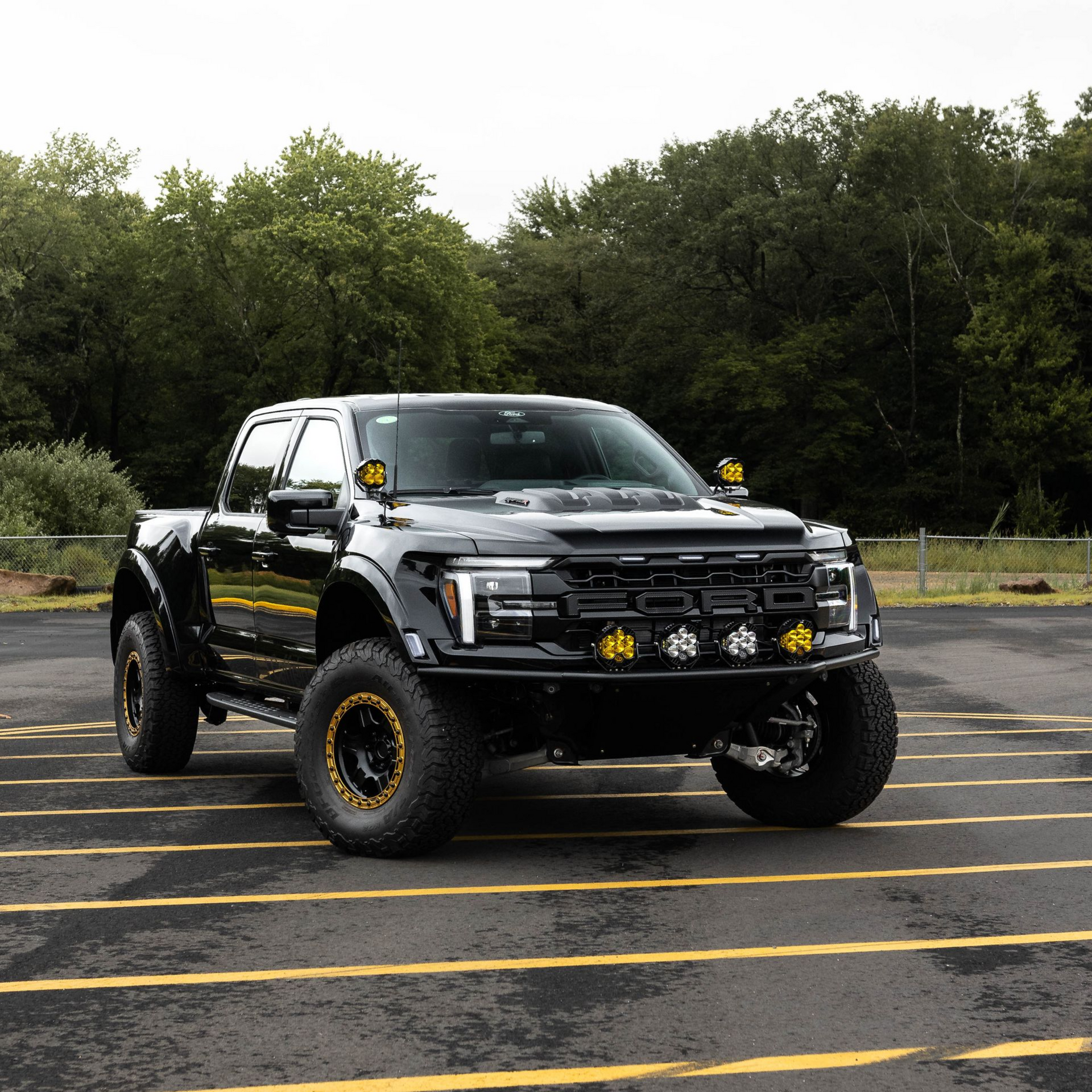 White lifted Ford F-150 truck with custom grille and wheels parked on a road, trees in the background.